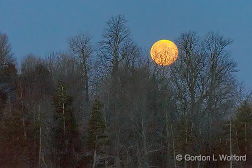 Setting Supermoon_07377-9.jpg - Photographed near Kilmarnock, Ontario, Canada.